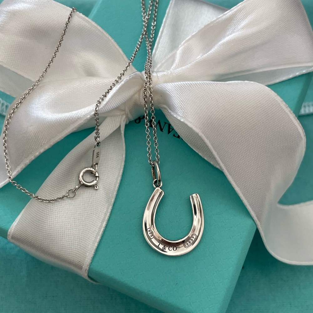 Tiffany & Co‎ Horshoe necklace